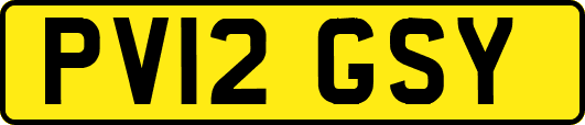PV12GSY