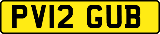 PV12GUB