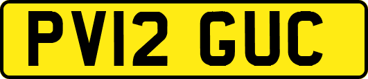 PV12GUC