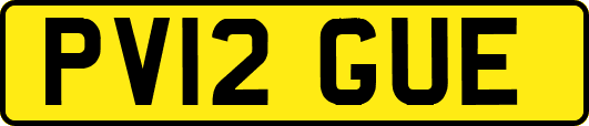 PV12GUE