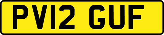 PV12GUF