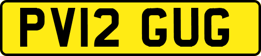 PV12GUG