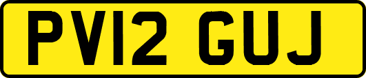 PV12GUJ