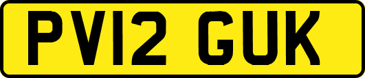 PV12GUK