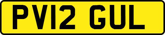 PV12GUL