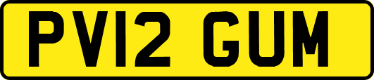 PV12GUM