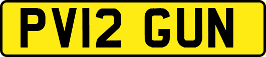 PV12GUN