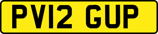 PV12GUP