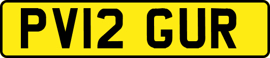 PV12GUR