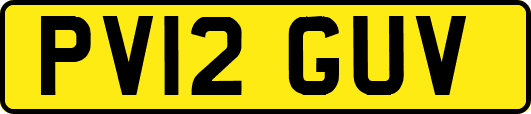 PV12GUV