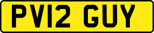 PV12GUY