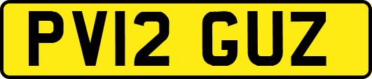 PV12GUZ