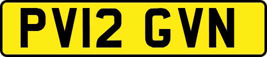 PV12GVN