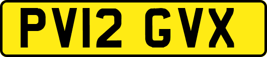 PV12GVX