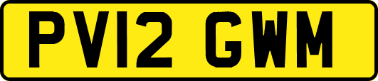 PV12GWM