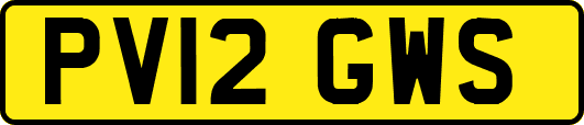 PV12GWS
