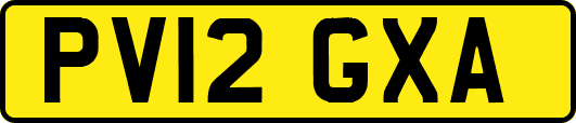 PV12GXA