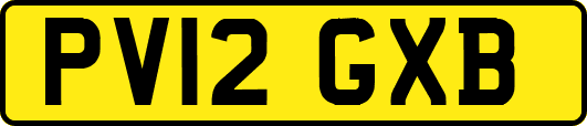 PV12GXB