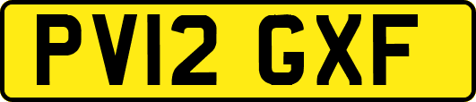 PV12GXF