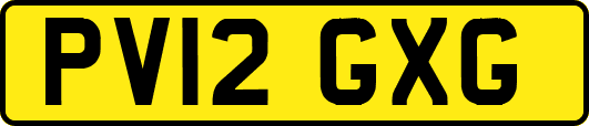 PV12GXG