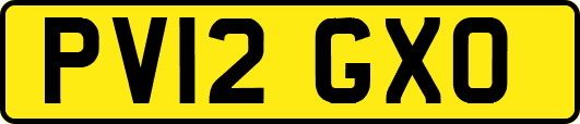 PV12GXO