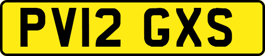 PV12GXS