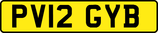 PV12GYB