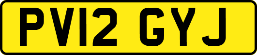 PV12GYJ