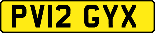 PV12GYX