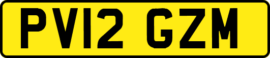 PV12GZM