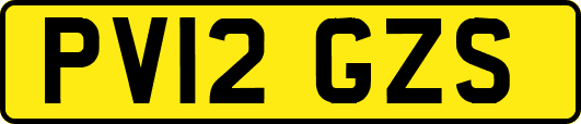 PV12GZS