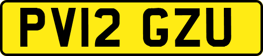 PV12GZU