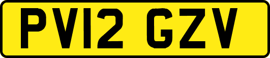 PV12GZV