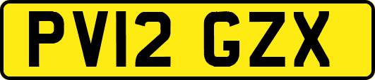 PV12GZX