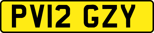 PV12GZY
