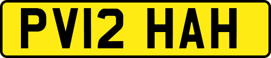 PV12HAH