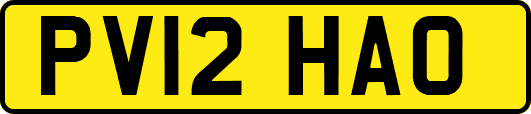 PV12HAO