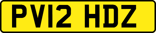 PV12HDZ