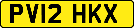 PV12HKX