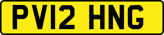 PV12HNG