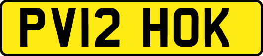 PV12HOK