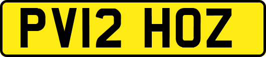 PV12HOZ