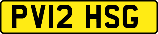 PV12HSG