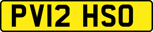 PV12HSO