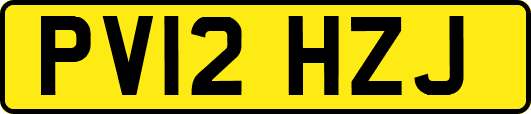 PV12HZJ