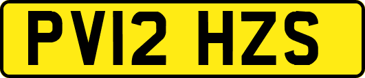 PV12HZS