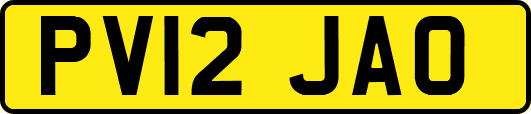 PV12JAO