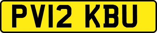PV12KBU