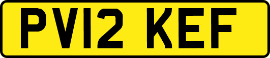 PV12KEF