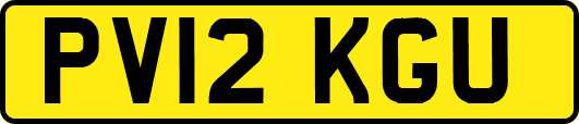 PV12KGU